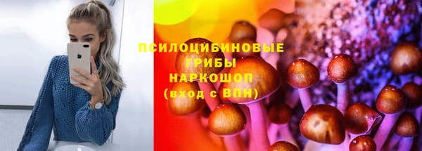 mdpv Бородино