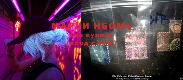 mdpv Бородино