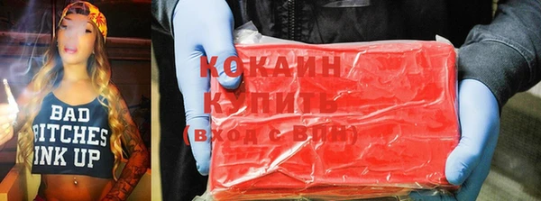 ПСИЛОЦИБИНОВЫЕ ГРИБЫ Верея